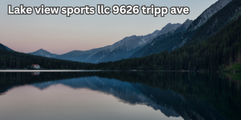 lake view sports llc 9626 tripp ave​